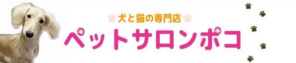 錦糸町の犬と猫の販売 レンタル サロン ペットサロン ポコ